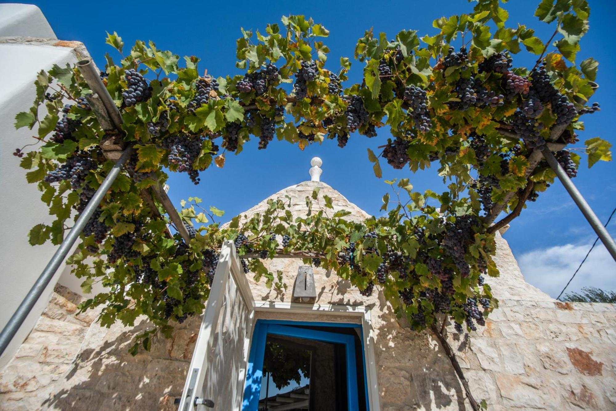 Trullolive Βίλα Ostuni Εξωτερικό φωτογραφία